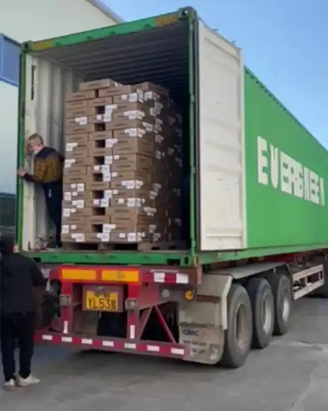 container loading (1)