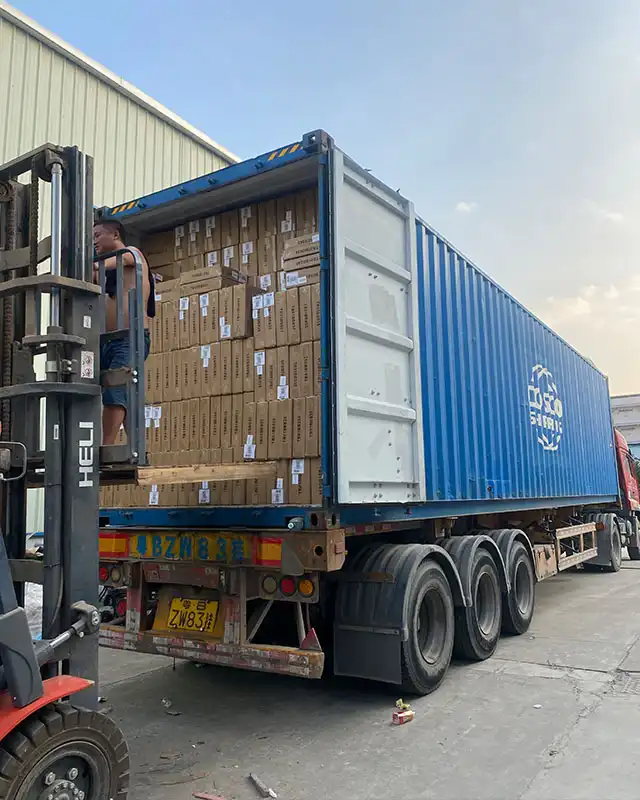 container loading (4)
