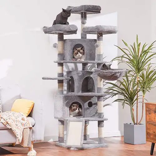 cat condo tower