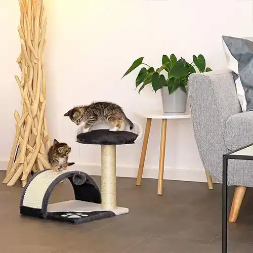 cat scratcher 36x36x43 cm