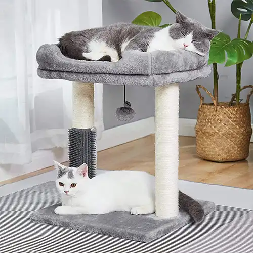 cat tree 40x40x50 cm